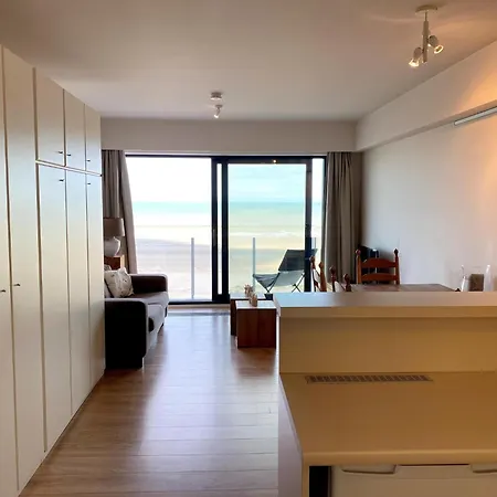 Apartment In Near The Beach, Cleaning Included Nieuwpoort