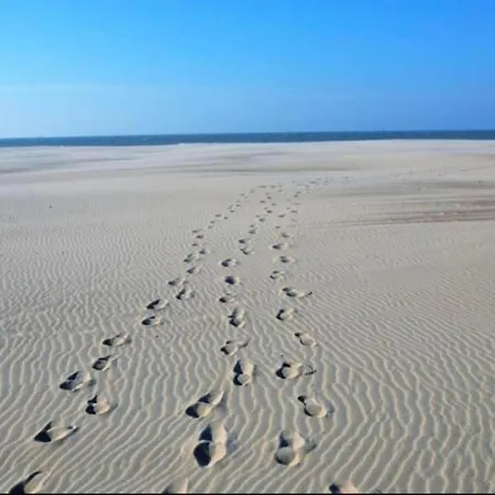 In Near The Beach, Cleaning Included * Nieuwpoort